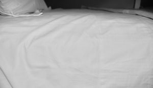 250tc King Flat Sheet